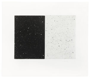 Black and White Diptych by Vija Celmins at Krakow Witkin Gallery