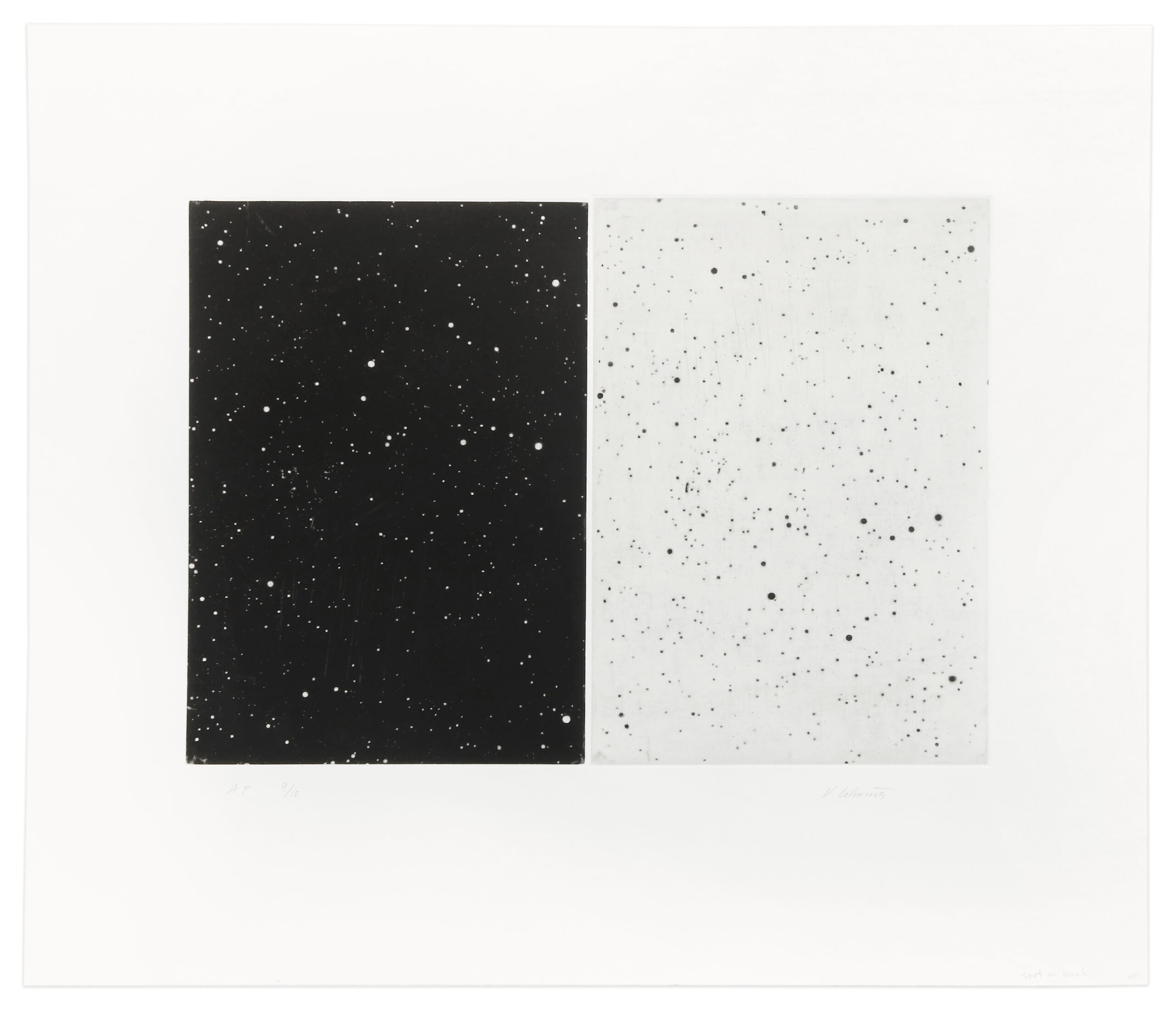 Black and White Diptych by Vija Celmins