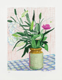 David Hockney Untitled 516 iPad Drawing from A Bigger Book by David Hockney at Clifton Gallery