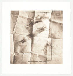 Displacements: Bamby by Vik Muniz at Graphicstudio