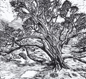 Juniper by Alexandra Riesco at Oehme Graphics