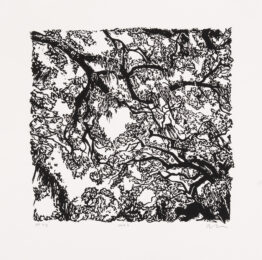 Oaks by Alexandra Riesco at Oehme Graphics