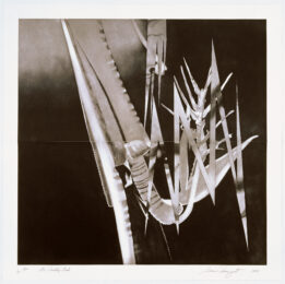 The Prickly Dark by James Rosenquist at Graphicstudio