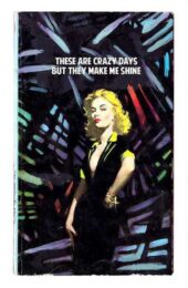 These Are Crazy Days by The Connor Brothers at Dovehouse Contemporary