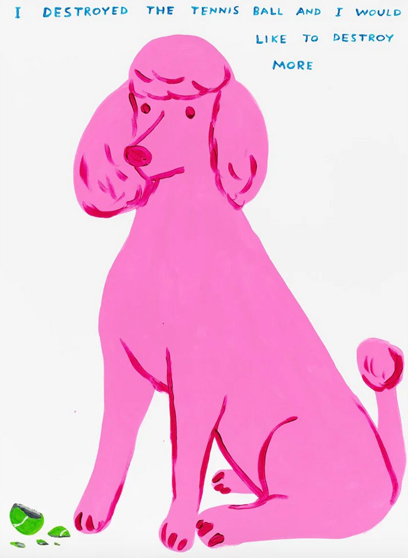 David Shrigley I Destroyed The Tennis Ball by David Shrigley