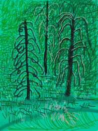 “Untitled No.16” From “the Yosemite Suite” by David Hockney at Dovehouse Contemporary