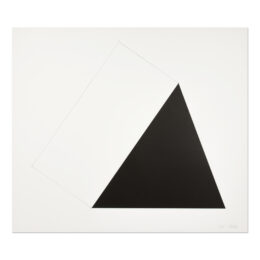 Braunwald by Ellsworth Kelly at MLTPL