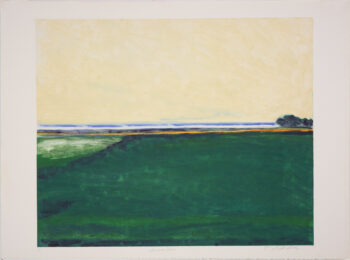 Distant Lake by Jane McNichol at Manneken Press (IFPDA)