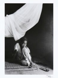 La Moustiquaire (1997) by Alioune Ba at Eyestorm