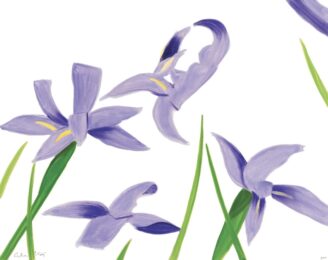 Purple Irises on White by Alex Katz at Jim Kempner Fine Art