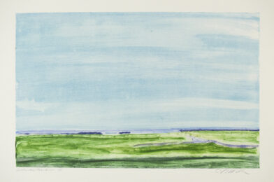 Saltwater Meadow by Jane McNichol at Manneken Press (IFPDA)