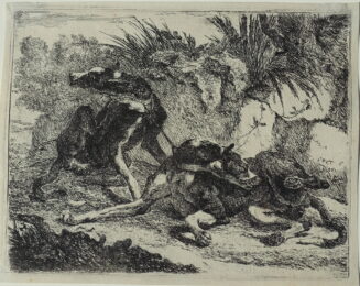 The Set of Dogs by Jan Fyt at Jan Johnson Old Master Modern Prints