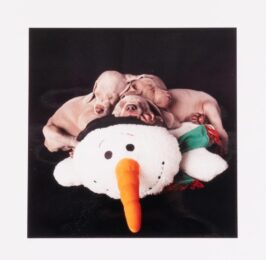 Three for One by William Wegman at Michael Lisi/Contemporary Art
