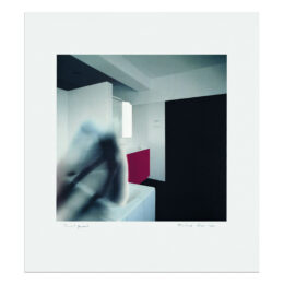 Bathroom Fig. 1 by Richard Hamilton at MLTPL