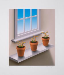 Blooming 2021 by Patrick Hughes at Dovehouse Contemporary