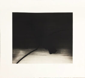 Crow 1 by Joe Andoe at Hamilton-Selway Fine Art