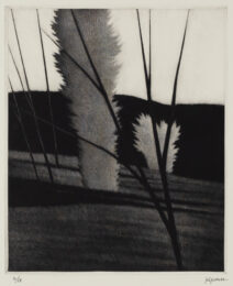 Dark mountain & pale tree by Robert Kipniss at ebo Gallery