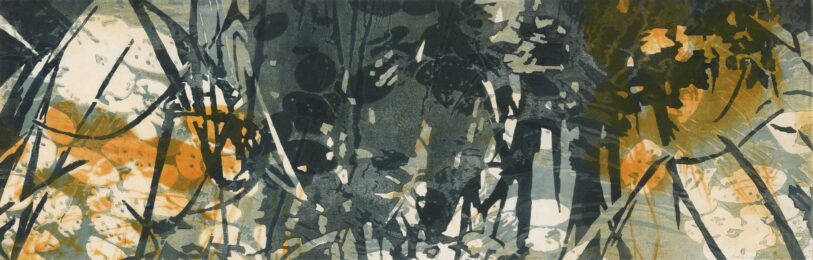 Echo Location #70 by Catherine Kernan at VanDeb Editions
