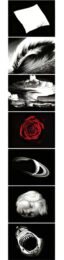 Essentials – 61 by Robert Longo at Dovehouse Contemporary