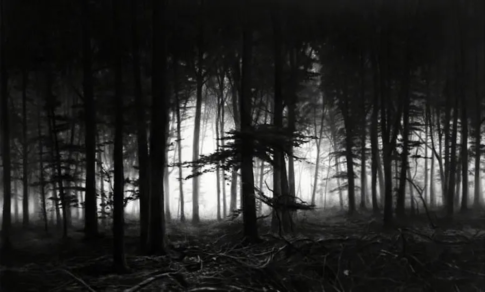 Forest Of Doxa by Robert Longo