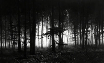 Forest Of Doxa by Robert Longo at Dovehouse Contemporary