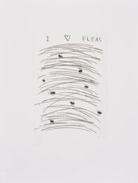 I Love Fleas by David Shrigley at Dovehouse Contemporary
