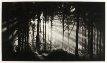 In The Garden, Et In Arcadia Ego by Robert Longo at Dovehouse Contemporary