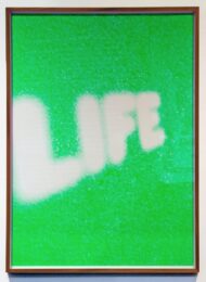 Life by Olafur Eliasson at Vogtle Contemporary