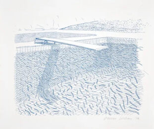 Lithographic Water Made of Lines T210, TG 253 by David Hockney at Clifton Gallery