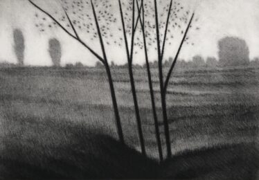 Near & far by Robert Kipniss at ebo Gallery
