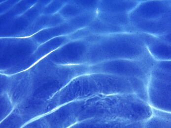 Pool Water Series #4. Florida by Clifford Singer at iMuseum Vegas