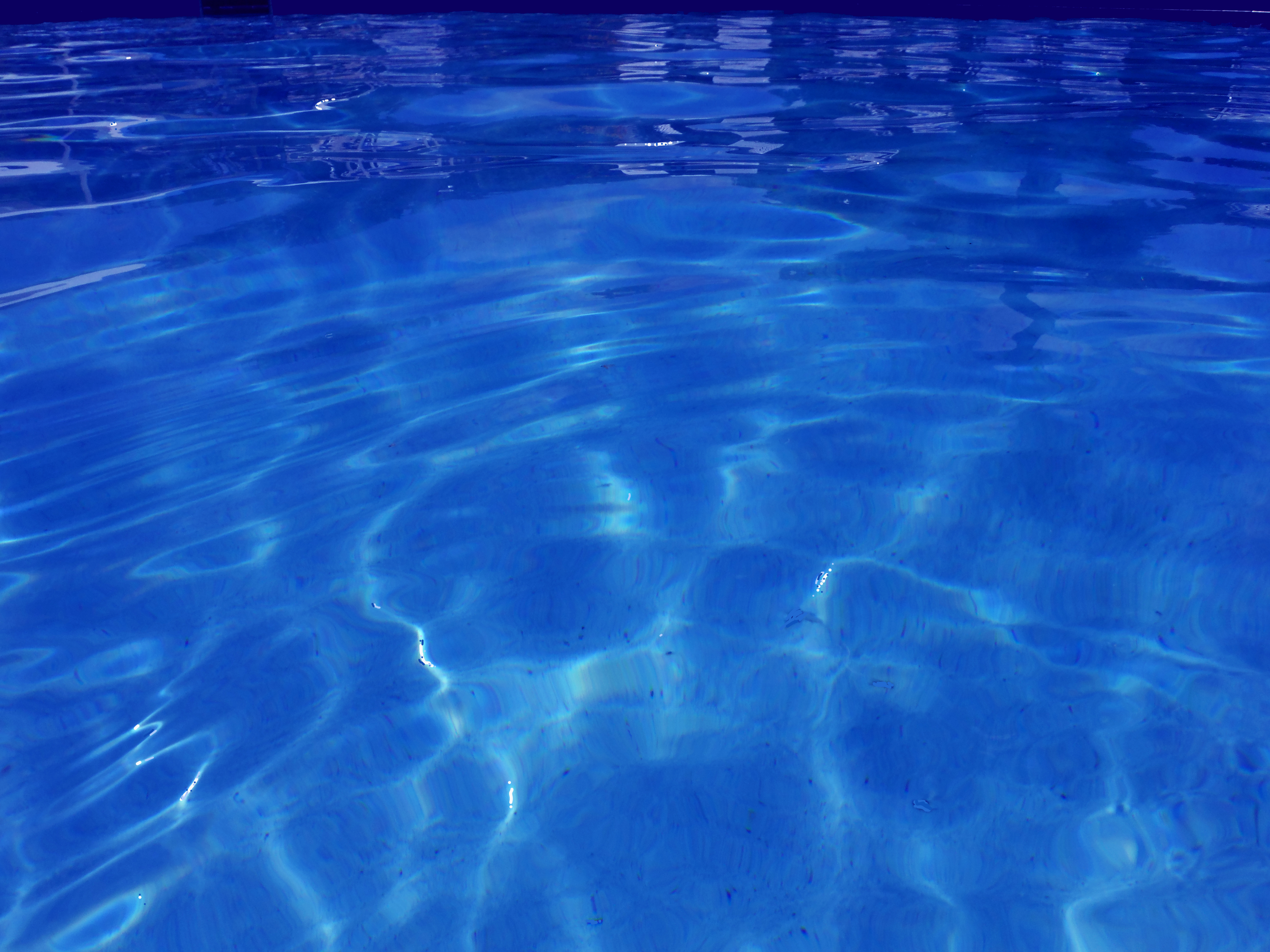 Pool Water Series #5. Florida by Clifford Singer