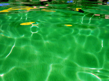 Pool Water Series #8. Florida by Clifford Singer at iMuseum Vegas