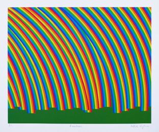 Rainbows by Patrick Hughes at Dovehouse Contemporary