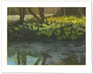 Riverbank ii by Donald Teskey at Stoney Road Press