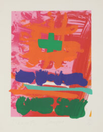 Sangora by Albert Irvin at Clifton Gallery
