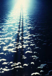 Shadow Projection (1972) by Dennis Oppenheim at Eyestorm