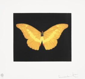 To Lure Butterfly by Damien Hirst at Clifton Gallery