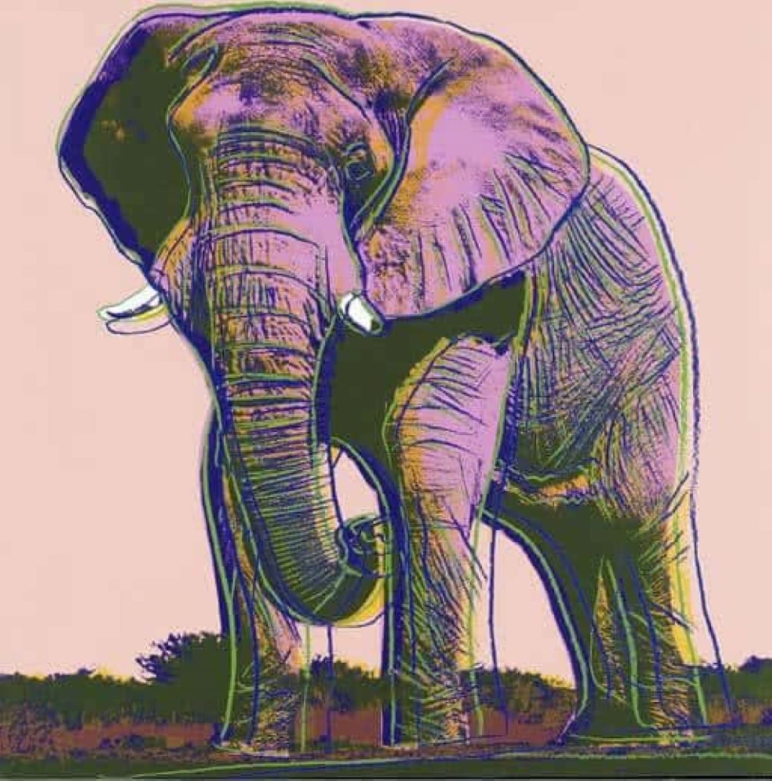 African Elephant, Endangered Species Series (Fs Ii.293) by Andy Warhol