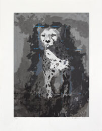 Cheetah (Black & White) by Amir Akhavan at Gary Lichtenstein Editions