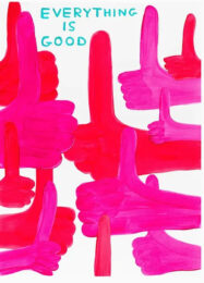 Everything Is Good by David Shrigley at Clifton Gallery