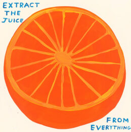 Extract The Juice by David Shrigley at Clifton Gallery