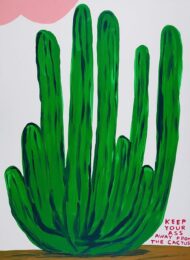 Keep Your Ass Away From The Cactus by David Shrigley at Clifton Gallery
