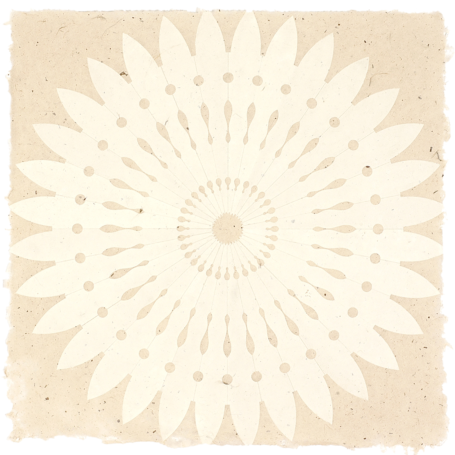 Rose Window 15B by Mary Judge