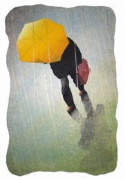 Cats and Dogs by Daniel Kelly at ebo Gallery