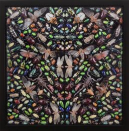 Damien Hirst Inferno by Damien Hirst at Clifton Gallery