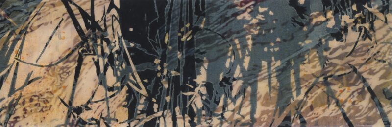 Echo Location 62 by Catherine Kernan at VanDeb Editions