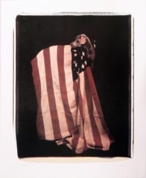 Profiles in Patriotism (from Freedom of Expression) by William Wegman at Hamilton-Selway Fine Art