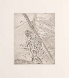 Alpine Echings (Set of 16) by Peter Doig at Dovehouse Contemporary