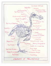 Anatomy of Melancholy by Mark Dion at LeRoy Neiman Center for Print Studies